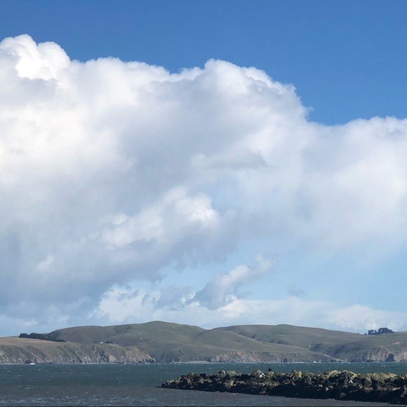 Meet your Posher, Sierra - Picture 1 of 1